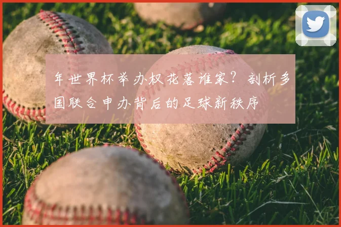 年世界杯举办权花落谁家?剖析多国联合申办背后的足球新秩序