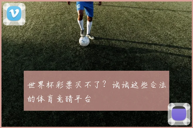世界杯彩票买不了？试试这些合法的体育竞猜平台