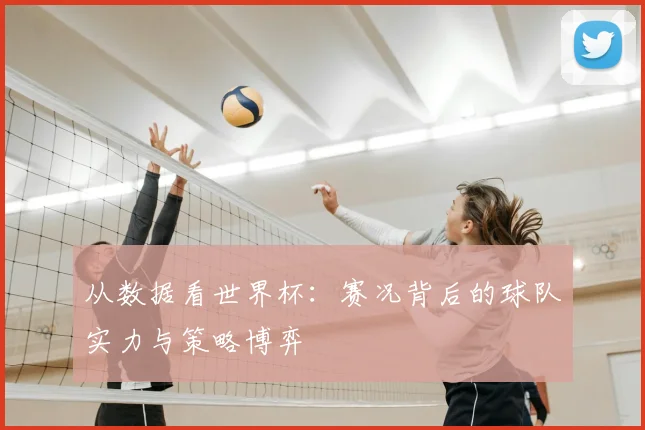 从数据看世界杯：赛况背后的球队实力与策略博弈