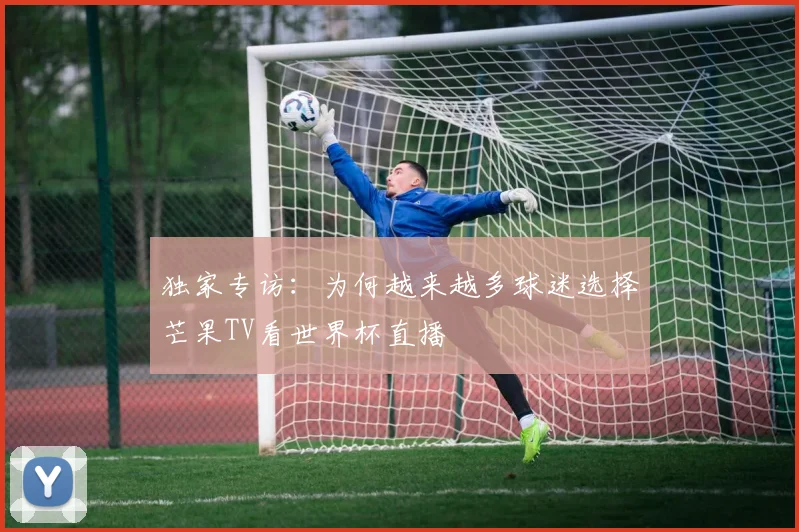 独家专访：为何越来越多球迷选择芒果TV看世界杯直播