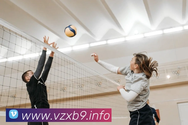 九游体育官网app登录平台生态图